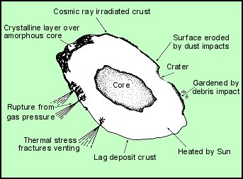 Figura 17 - Schema di un nucleo cometario